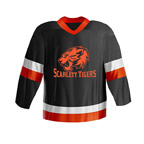 Three-Color Hockey Jersey