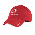 Nike Dri-FIT Stretch Mesh Sandwich Bill Cap