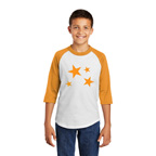 Sport-Tek Youth Colorblock Raglan Jersey