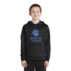 Sport-Tek Youth Sport Wick Fleece Colorblock Hooded Pullover