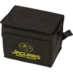 Insulated 6 Pack Cooler Bag