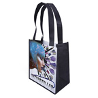 Renoir Tote Bag