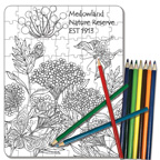 Large Sized Adult Coloring Puzzle Set (81 Piece)