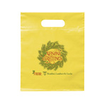 Die Cut Handle Bag 9 x 12