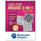 Deluxe large Print 3 in 1 Puzzle Book