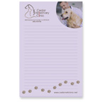 Souvenir Sticky Note 4  x 6  Pad, 50 sheet