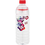 The Water Bottle 20oz