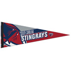 9 x 24 Premium Felt Pennant - With 1 sewn Strip